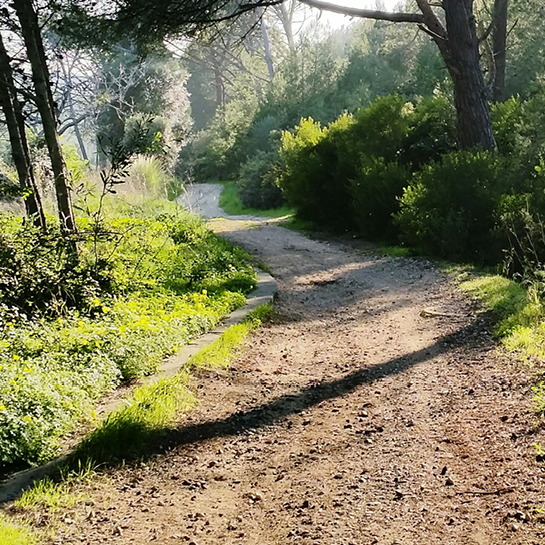 Málaga - Senderismo. Ruta al Tintero