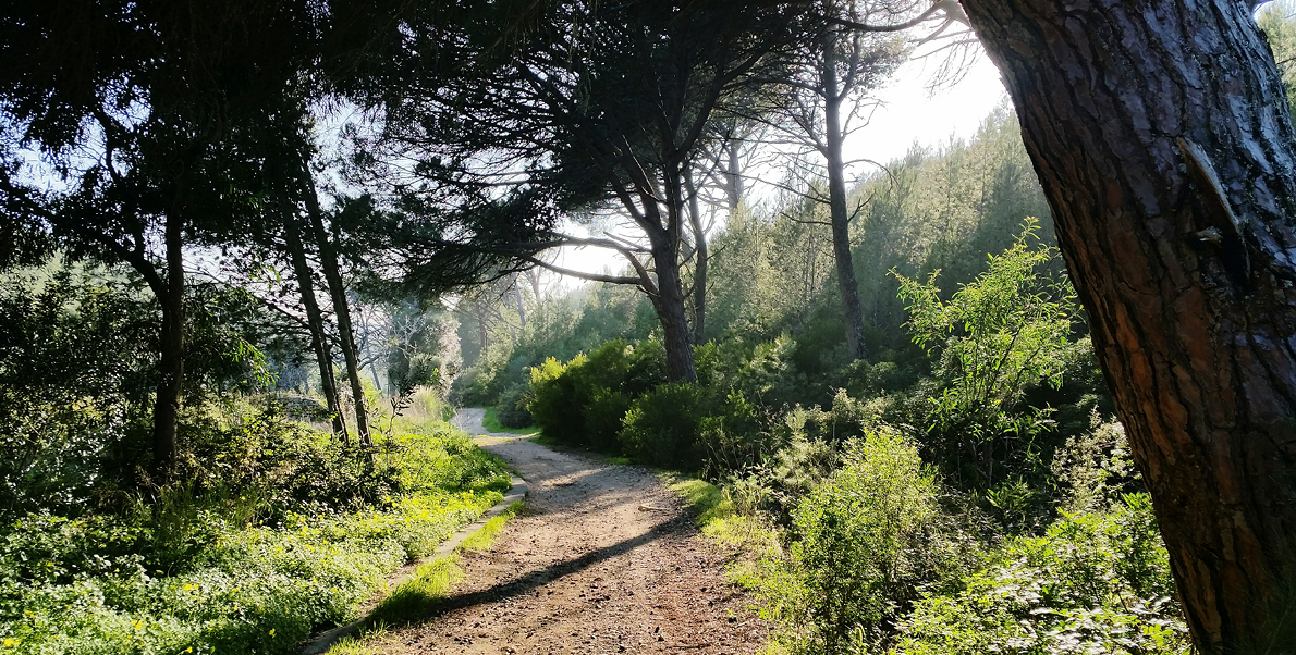 Málaga - Senderismo. Ruta al Tintero